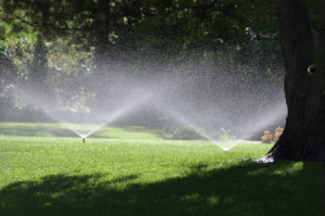 Brownell irrigation